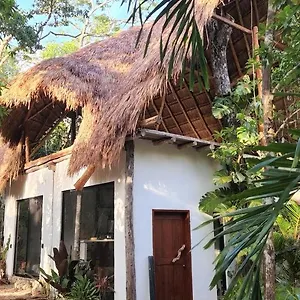 Selva Roca , Tulum México