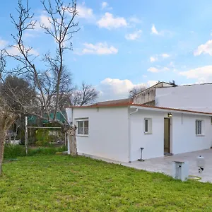 Pet-friendly , Córdoba España